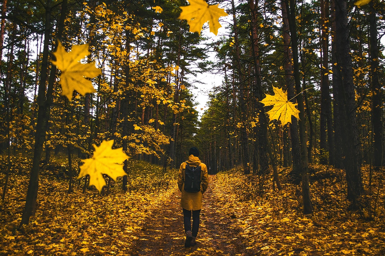 Man with yellow coat walking on the forest in autumn