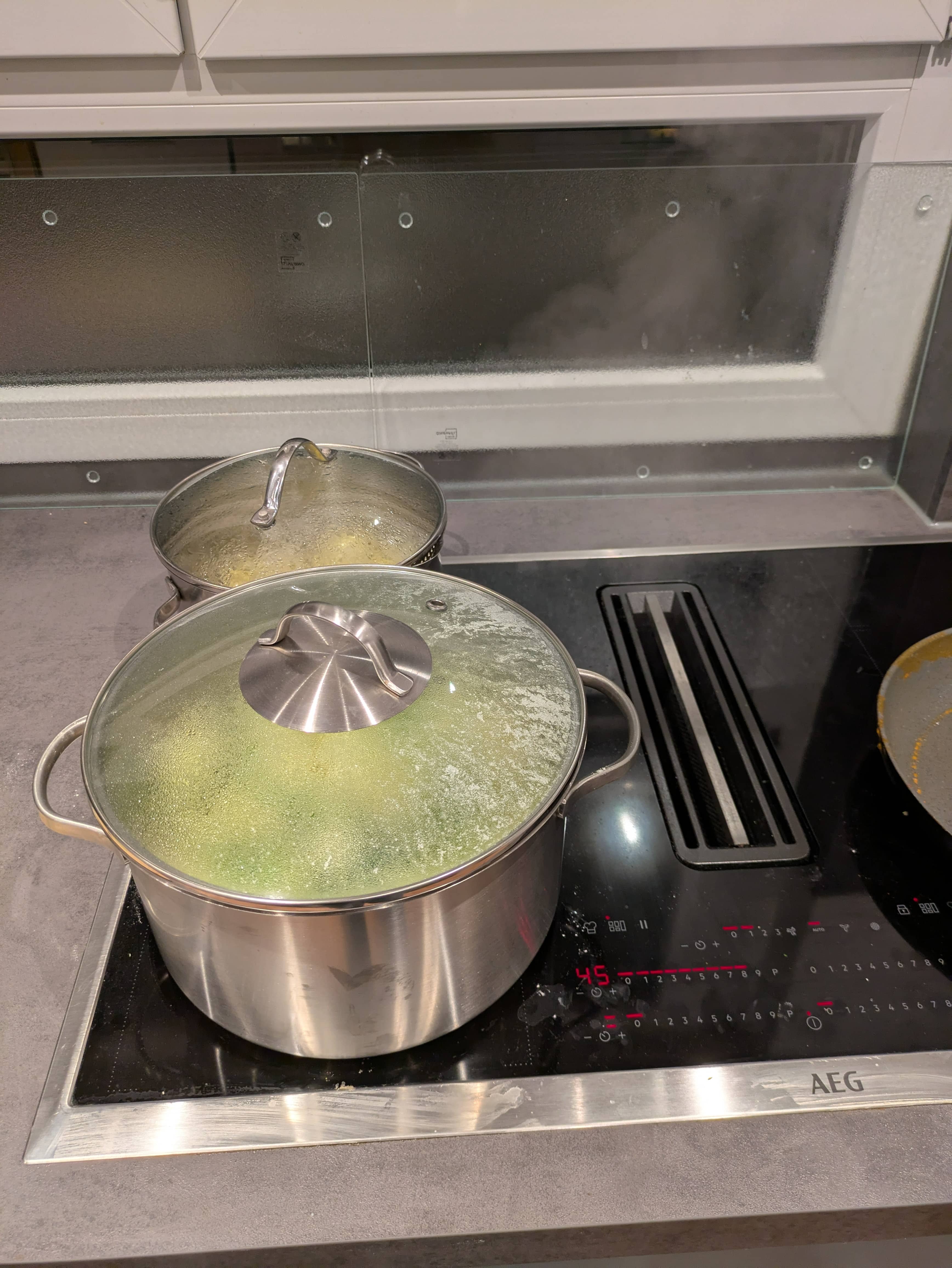 Kochtöpfe auf der Herdplatte