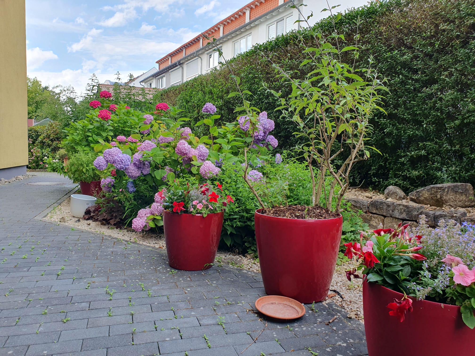 Blumen im Außenbereich des Hospizes Lebensbrücke, die eine angenehme Atmosphäre schaffen.